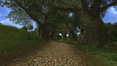 Canopied road in Tookland