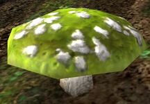 Green Spotted Mushroom