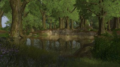 Quaint fishing pond in the deep woods