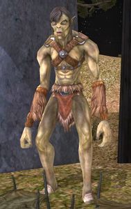 Image of Earth-kin Hunter