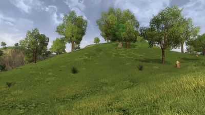 Grassy hills surrounding the lake