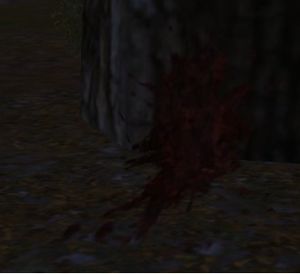 Image of Bloodstain on a Tree