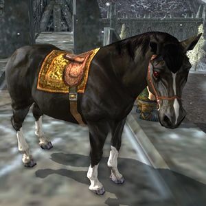 Image of Horse