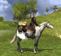 Image of Perfect Picnic Steed