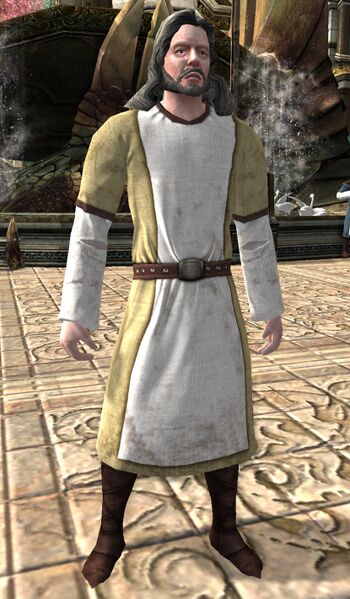 File:Dol Amroth Quartermaster (Essences).jpg