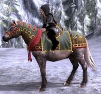 Image of Snow-strider's Pony