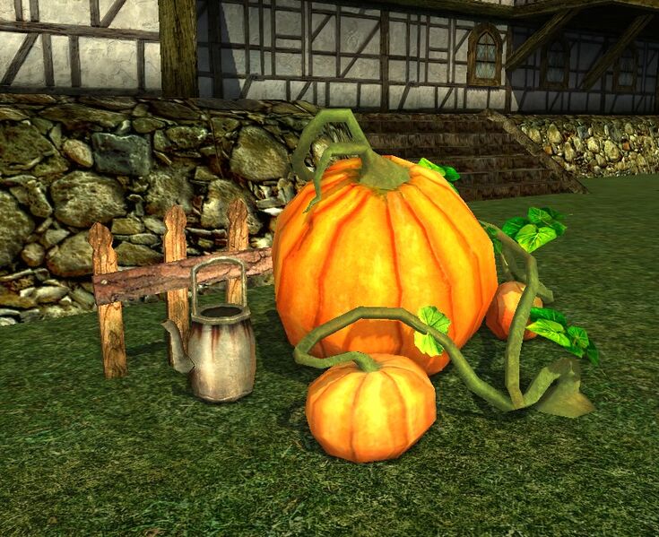 File:Giant Pumpkin.jpg
