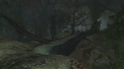 A simple tree bridge carries travelers safely across the dark river to Felegoth, the realm of King Thranduil.