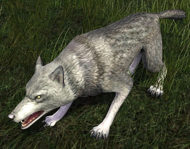 File:Howling Grey Wolf.jpg