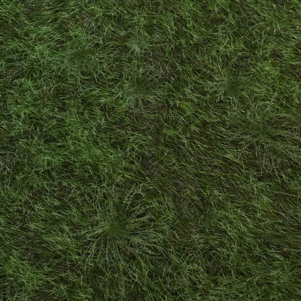 File:Light Grass Floor.jpg