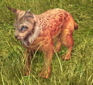 lotro lynx