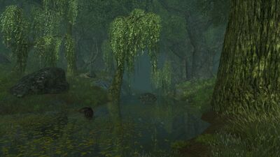 There is danger near the river, and and one can easily get lost in the forest surrounding the water.
