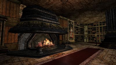 Fireplace on the lower level