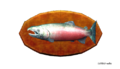15-pound Salmon