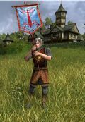Elvish Warrior Herald of War