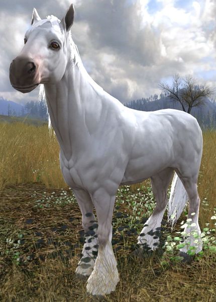 File:Shadowfax (The Wold - Session play).jpg