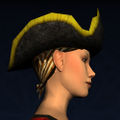 Black Corsair Hat