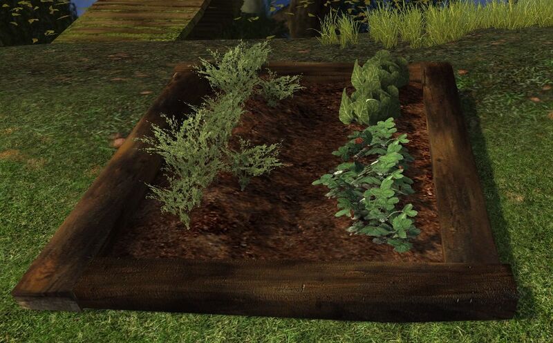 File:Small Vegetable Garden.jpg