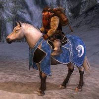 Image of Steed of the Ithilien Winter (Pony)