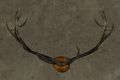 Large Rohan Antlers