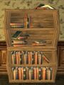 Scholar's Bentwood Bookshelf