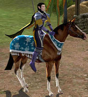 Image of Yule Festival Horse