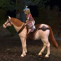 Image of Prized Dunlending Pony