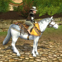 Image of Wayward Easterling Pony