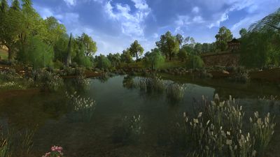 Eastern Frogmoors is more flooded
