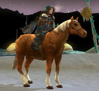 Image of Prized Tundra-pony