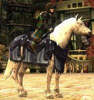 Image of Steed of Winter Winds Pony
