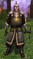 Rohirrim Knight Property Guard (Facial Features are Random)