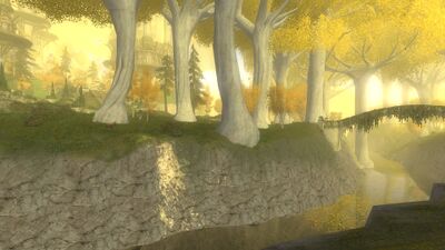 Further into the forest, the river passes Caras Galadhon, the seat of Galadriel's power.