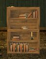 Academic's Bentwood Bookshelf