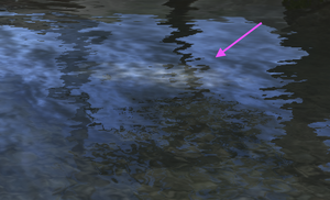 A picture of a river in LOTRO, with a white patch indicating the location of a salmon run. A pink arrow points to the white patch.