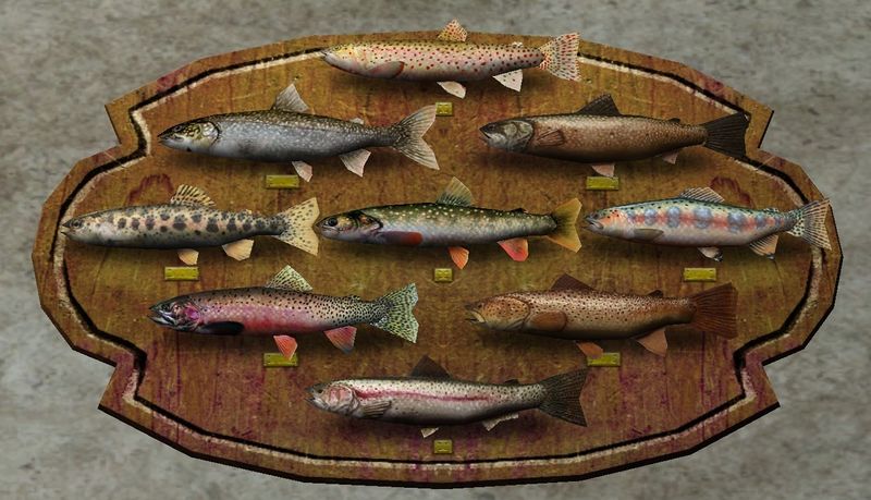 File:Trout Group Trophy.jpg