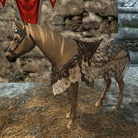 Image of Yule Gala Steed