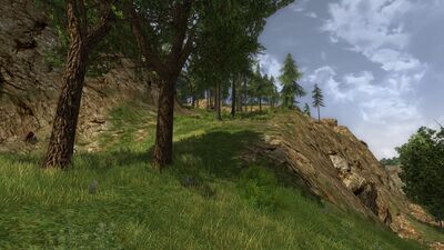 Climb to Brandywood from Starmere Lake