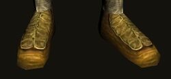 Golden Shoes of the Benefactor