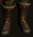 Snow-strider's Boots