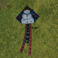 Frosty Kite