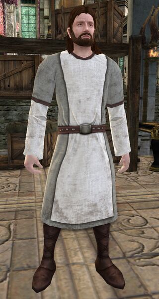 File:Quartermaster (Dol Amroth).jpg