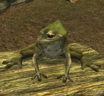 File:Frog (Cosmetic Pet).jpg