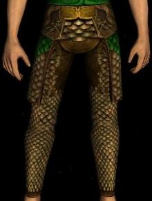 File:Scalemail Leggings 1 Forest Green.jpg