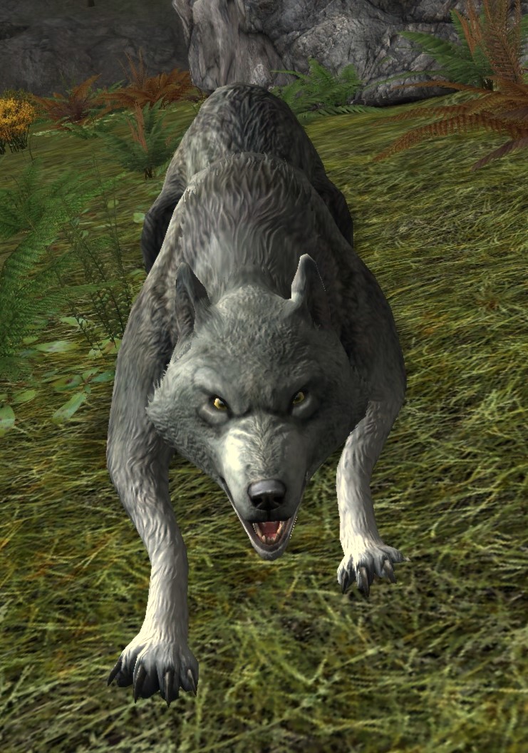 Prowling Vale-wolf - Lotro-Wiki.com