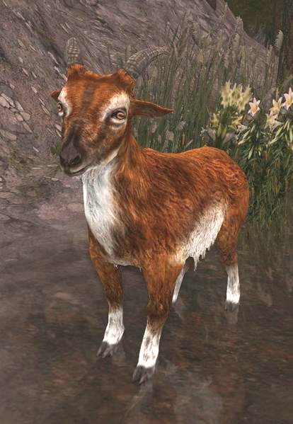File:Anórien Mountain-goat.jpg