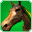 File:Mount 16 (skill)-icon.png