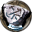 Subtle Rune of Avoidance-icon.png