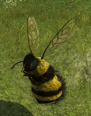 File:Big Bumblebee.jpg
