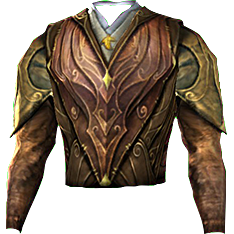 Ceremonial Jacket of the Shield-wall-icon.png